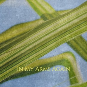 In My Arms Again