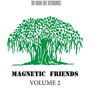 Magnetic Friends, Vol. 2