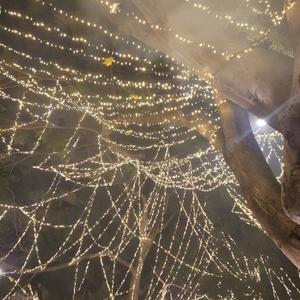 en parte fue por mi parte (feat. qrixtol) (Explicit)