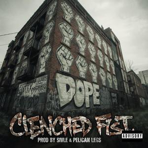 Birds (feat. Evolve, Loco Motive & Mic Melt) (Explicit)