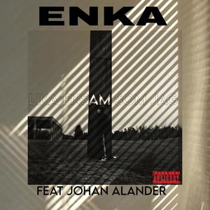 ENKA DU ÄR LIKA ENSAM SOM (feat. Johan Alander) (Explicit)