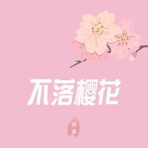 不落樱花