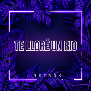 Te Lloré Un Rio (Remix)