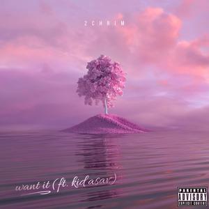 Want It (feat. Kid Asav) (Explicit)