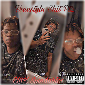 Freestyle **** Pt2 (Explicit)