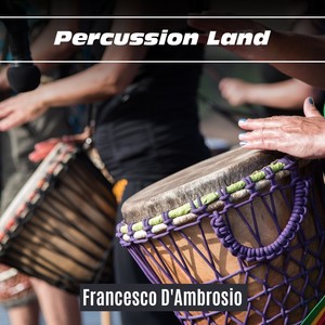 Percussion Land