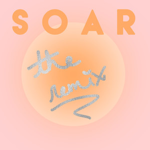 Soar (Aboynamedhsu Remix)