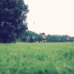 小森林 (Demo)