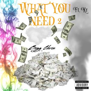What You Need 2 (Explicit)