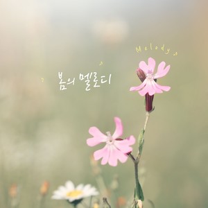 봄의 Melody