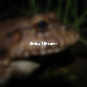 Rising Aliveness