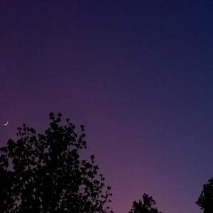 Reflection/If I Fall 3 (Explicit)