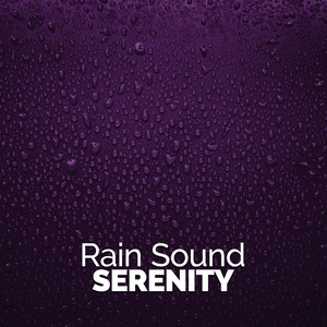 Rain Sound Serenity