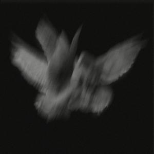 Flesh & Blood (Explicit)