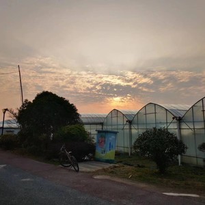 Dusk
