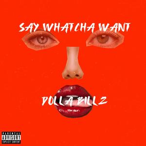 SAY WHATCHA WANT (Explicit)