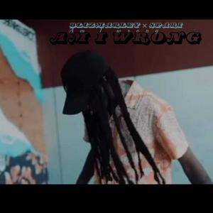 am I wrong (feat. Spari) (Audio) (Explicit)