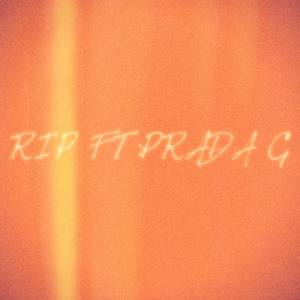 RIP (Explicit)