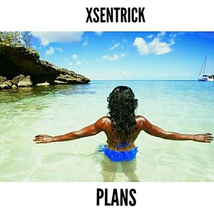 Plans (Explicit)