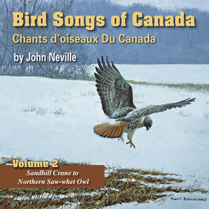 Bird Songs of Canada, Vol. 2