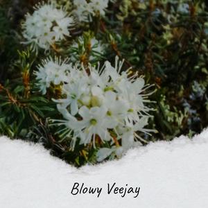 Blowy Veejay