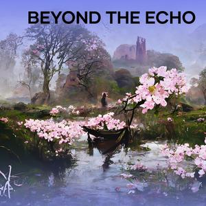 Beyond the Echo