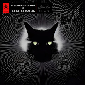 Gato Negro (Daniel Hokum & Okuma Remix)