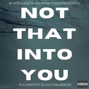 Not That Into You (feat. NobodyKnowzWho, Paugotit & JayGleekz) [Explicit]
