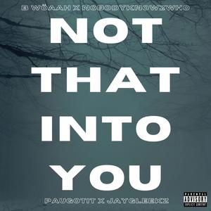 Not That Into You (feat. NobodyKnowzWho, Paugotit & JayGleekz) (Explicit)