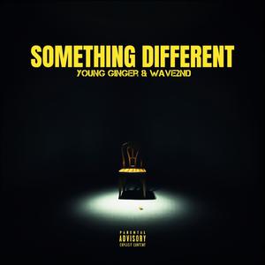 Something Different (feat. Wave2nd) (Explicit)