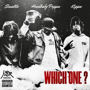 Which One? (feat. Hoodbaby Peppa, SmallzX & Kvppa) (Explicit)