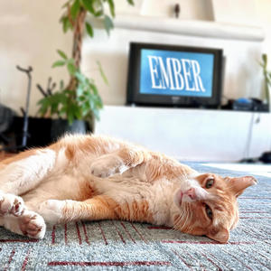 Ember
