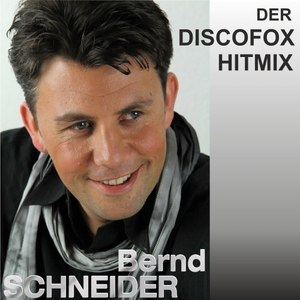 Der Discofox-Hitmix