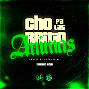 Chorrito Pa Las Animas (Turreo Edit) (Remix)