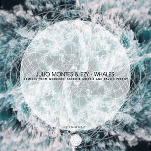 Whales (Pavlin Petrov Remix)