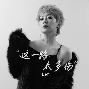 王娜 - 这一路太多伤