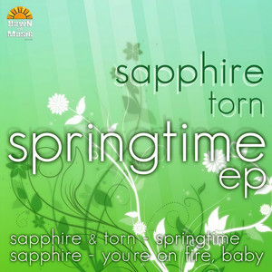 Springtime (Original Mix)