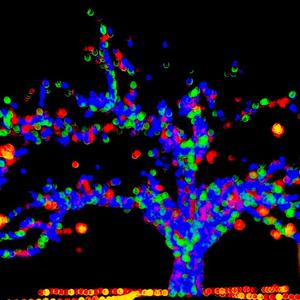 JaeLennix - Affordable information (Explicit)