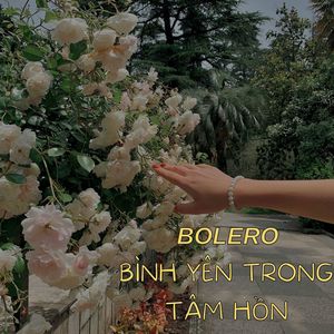 Album Bình Yên Trong Tâm Hồn