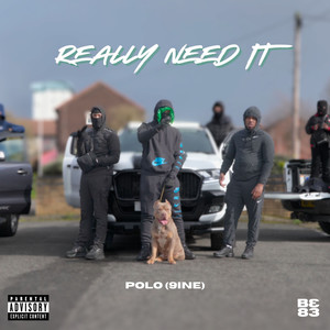 Really Need It (Explicit)
