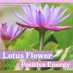 Lotus Flower: Positive Energy - Music for Zen Relaxation, Nature Sounds for Reiki, Chakra Healing, Yoga & Massage Therapy