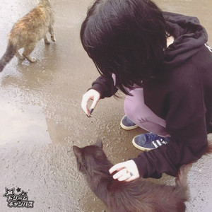 Verdade Japonesa (Explicit)