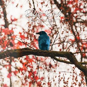 Blue Bird (feat. Nanaru & HalcyonMusic)