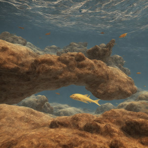 Hollow Energy Ritual