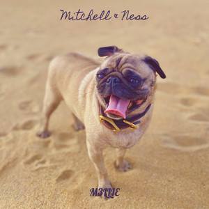 Mitchell & Ness (Explicit)