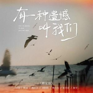 有一种遗憾叫我们 (群星版)