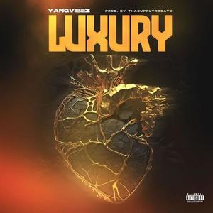 Luxury (feat. ThaSupplyrbeats) [Explicit]