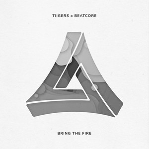 Bring The Fire (Original Mix)