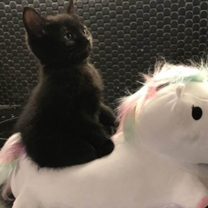 That's ****ing Hard as Shit, What