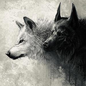 LONE WOLF (Explicit)